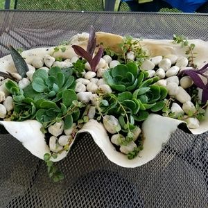 Meet your Posher, Fay